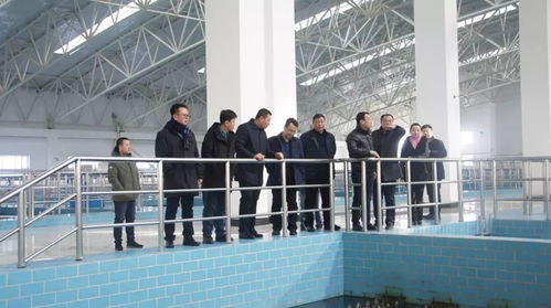 集團(tuán)總經(jīng)理王爽一行開展節(jié)日慰問與工作指導(dǎo)